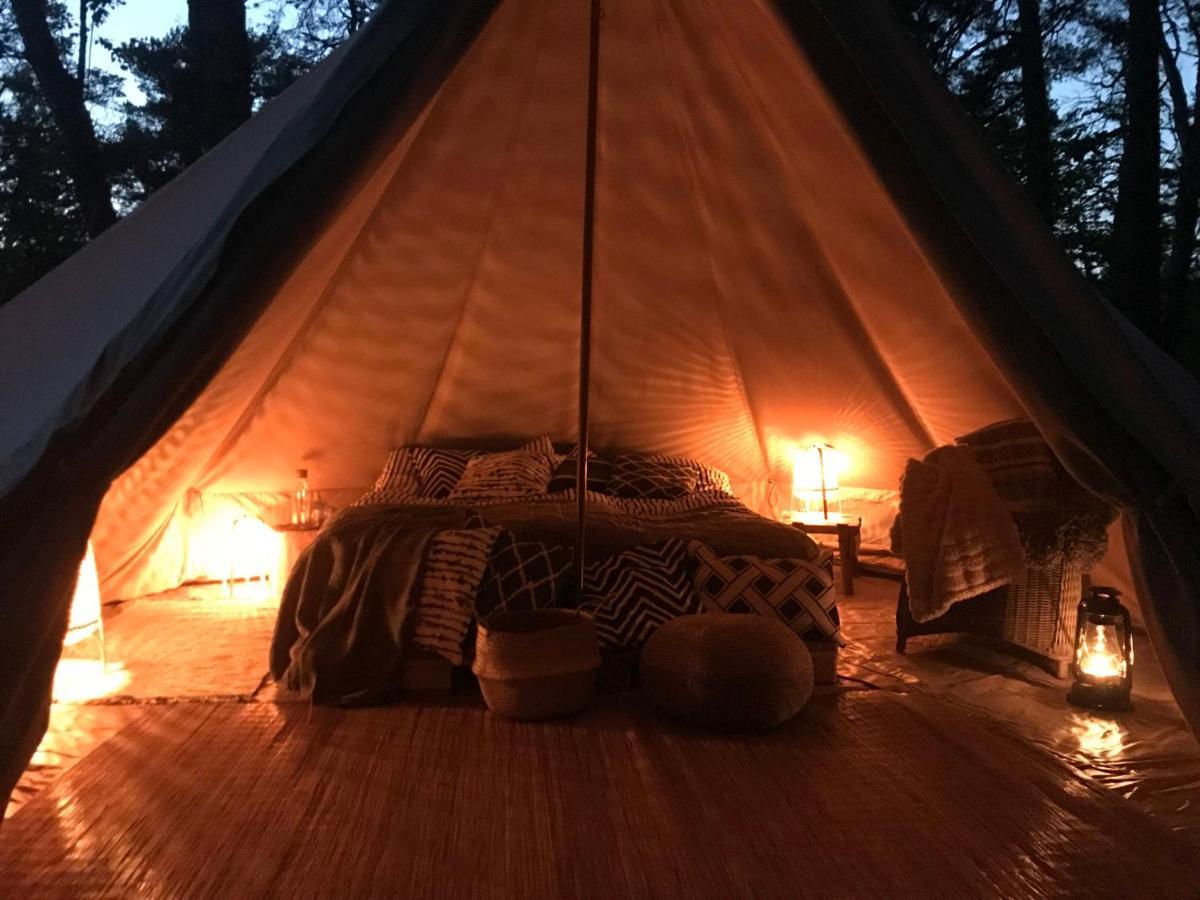Forest Glamping Värmdö Eksteriør bilde